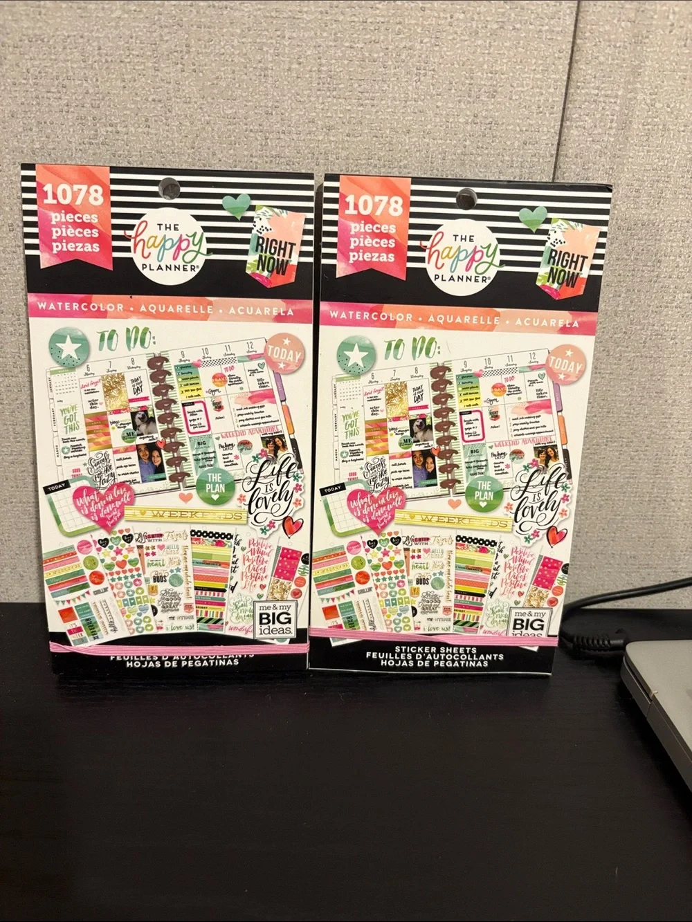The Happy Planner Watercolor Sticker Pack - Pink, Green & Black Accents